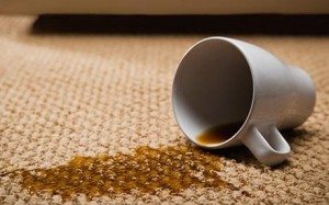 carpet cleaners ipswich qld